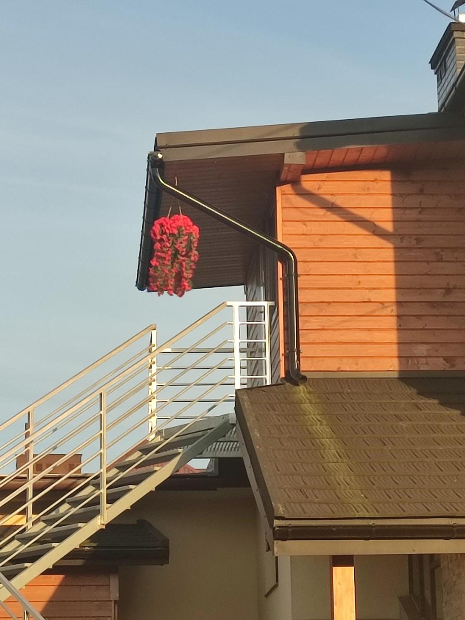 Apartament Na Wzgorzu Muszyna Dış mekan fotoğraf
